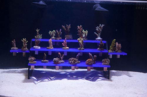 Innovative Marine Reef Rack - Coral Frag Rack (102)