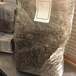 MycoHaus 10 Pounds Sterilized Compost Mushroom Substrate