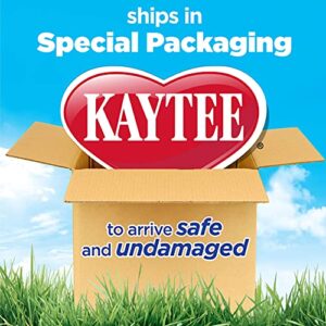 Kaytee Deluxe 2-Level Habitat for Pet Guinea Pigs