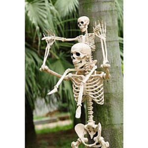 Crazy Bonez Poseable Skeleton Decoration, 36"