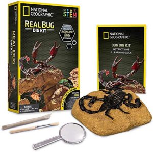 national geographic real bug dig kit - dig up 3 real insects including spider, fortune beetle and scorpion - great stem science gift