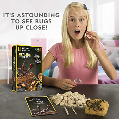 NATIONAL GEOGRAPHIC Real Bug Dig Kit - Dig up 3 Real Insects including Spider, Fortune Beetle and Scorpion - Great STEM Science gift