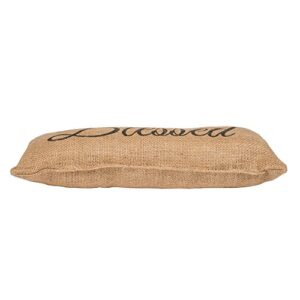 Small Burlap Blessed Country Pillow