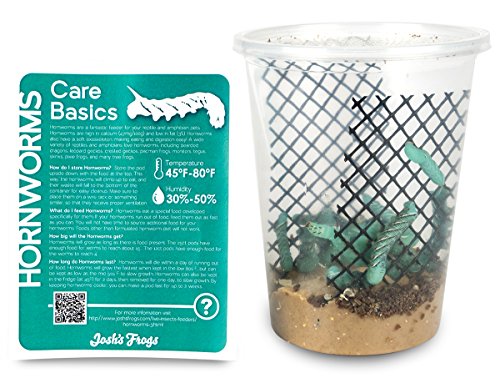 Josh's Frogs Hornworms Habitat Cup (25 Count Cup)