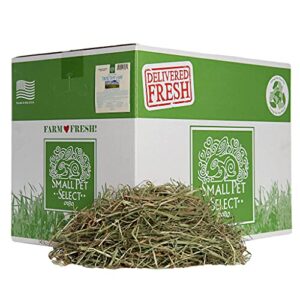 small pet select 3rd cutting "super soft" timothy hay pet food, 20 lb.