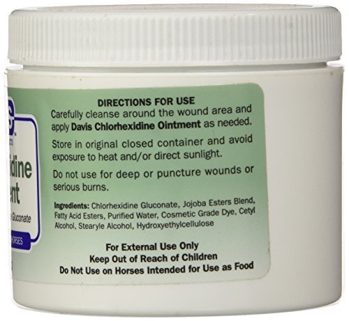 Davis 2% Chlorhexidine Ointment, 4 oz