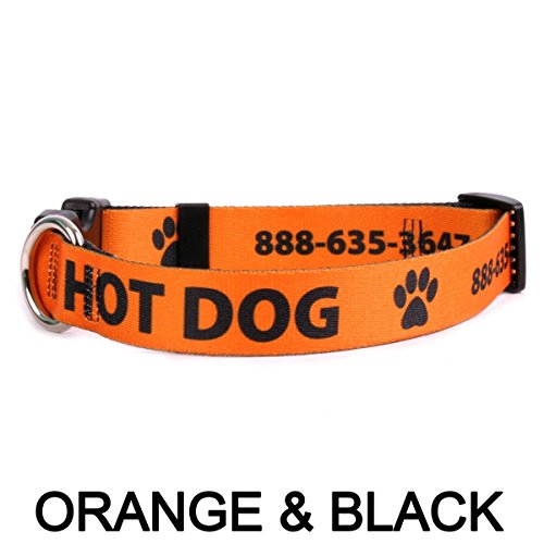 Personalized Dog Collar with Custom Hi-Def Text and Art, an Embroidered Dog Collar Alternative - Available in 7 Sizes & 21 Colors