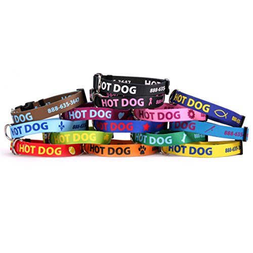 Personalized Dog Collar with Custom Hi-Def Text and Art, an Embroidered Dog Collar Alternative - Available in 7 Sizes & 21 Colors