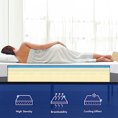 Olee Sleep 10 inch Aquarius Memory Foam Mattress - King, Plush