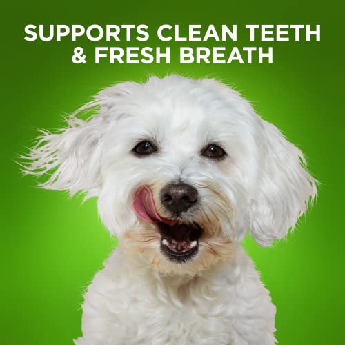 Fruitables Bioactive Fresh Mouth Dental Chews – Mini Size Dog Treats – Dental Treats for Dogs – Dog Dental Chews – 7.3 Ounces