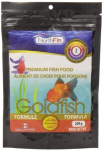 northfin goldfish