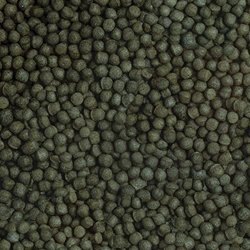 Sera 213 Cichlid Green XL 13 oz 1000 ml Pet Food, One Size