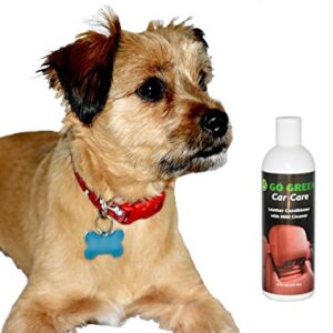 Go Green Leather Conditioner – Organic, 3 in 1 Leather Care, Cleans, Protects and Restores Your Leather, Unleash The Power of Coconut on Your Leather, Perfect for Auto Lovers, Kids and Pet Safe