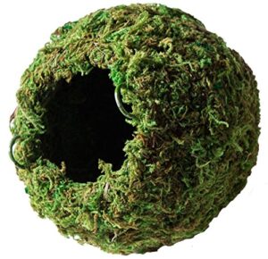 galápagos (05346) mossy cave hide, 4", green