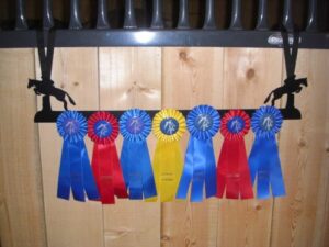 showoff award racks - horse (wall mount, jumper)
