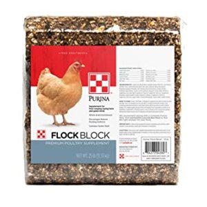 Purina Flock Block Supplement, 25 Pounds