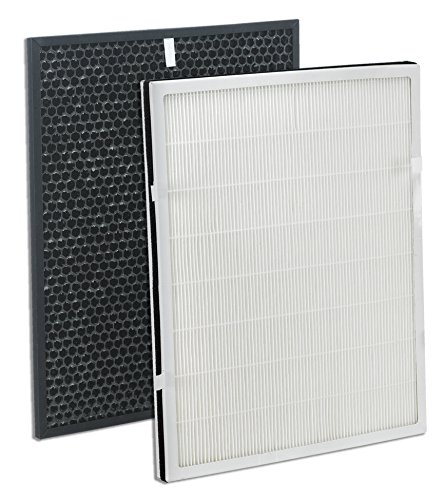 Germ Guardian FLT9200 True HEPA Genuine Air Purifier Replacement Filter H, and Carbon Combo Pack, for GermGuardian AC9200