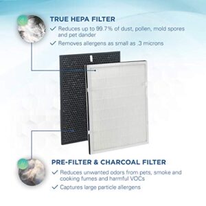 Germ Guardian FLT9200 True HEPA Genuine Air Purifier Replacement Filter H, and Carbon Combo Pack, for GermGuardian AC9200