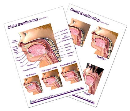 Child Swallowing Support Card