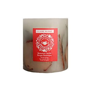 claire burke decorative botanical candle, applejack & peel scent 18 ounces, 1 count
