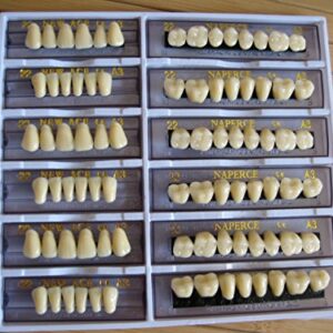 24 Plate 28X1 A1 Denture Shanghai ACRYLIC RESIN Teeth Dental Size 22