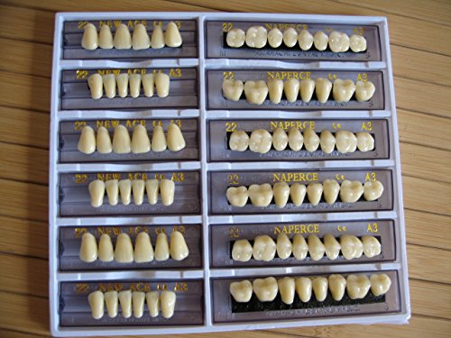 24 Plate 28X1 A1 Denture Shanghai ACRYLIC RESIN Teeth Dental Size 22