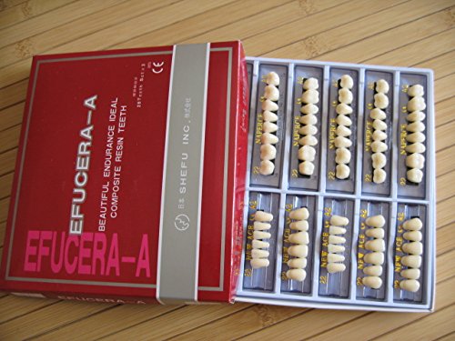 24 Plate 28X1 A1 Denture Shanghai ACRYLIC RESIN Teeth Dental Size 22