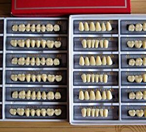 24 Plate 28X1 A1 Denture Shanghai ACRYLIC RESIN Teeth Dental Size 22