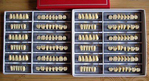 24 Plate 28X1 A1 Denture Shanghai ACRYLIC RESIN Teeth Dental Size 22