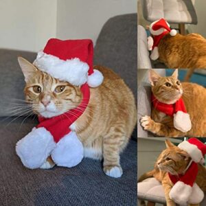 PETLESO Cat Santa Hat with Scarf, Christmas Hats for Cats Pet Santa Hat Christmas Costume for Cat Rabbit Puppy Doll, Red S