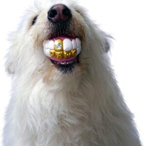 Humunga Bling Rock Star Teeth Shaped Ball Toy for Medium and Large Dogs