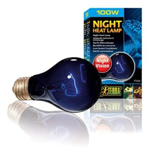 exo-terra night heat lamp, 100 watt