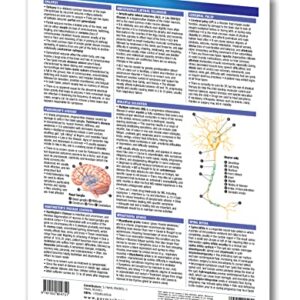 Nervous System Disorders Guide - Medical Quick Reference Guide by Permacharts