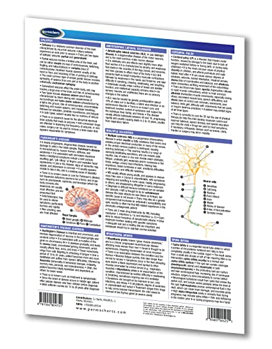 Nervous System Disorders Guide - Medical Quick Reference Guide by Permacharts