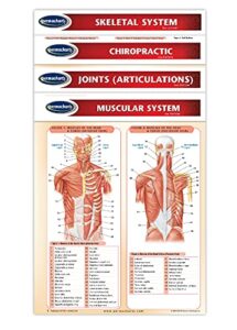 chiropractic medicine guides - 4 chart bundle - medical quick reference guides by permacharts