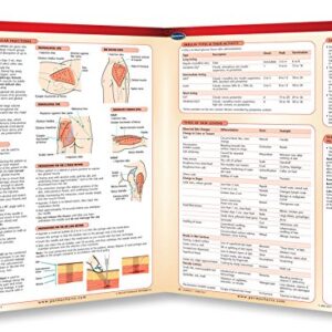 Nursing II Guide - Medical Quick Reference Guide by Permacharts