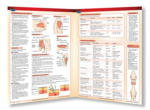 Nursing II Guide - Medical Quick Reference Guide by Permacharts