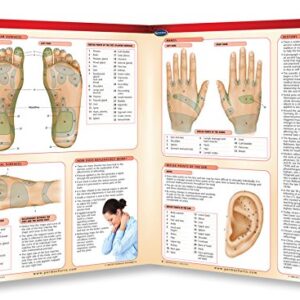 Reflexology Chart - Natural Health - Medical Quick Reference Guide by Permacharts