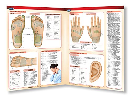 Reflexology Chart - Natural Health - Medical Quick Reference Guide by Permacharts