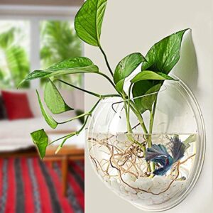 PRUGNA Wall-Hanging Fish Bowl Acrylic Wall-Mounted Plant Pot 1 Gallon Fish Tank 11.5-inches Decoration Planter