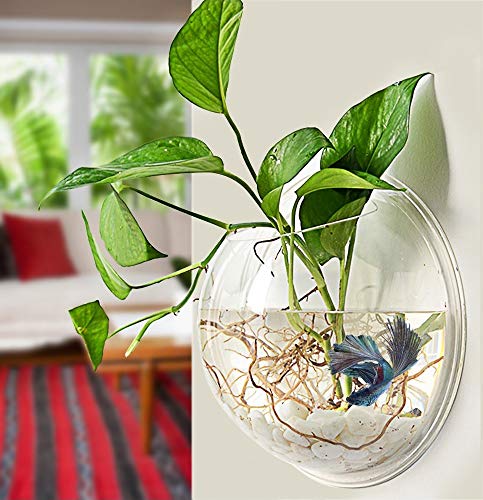 PRUGNA Wall-Hanging Fish Bowl Acrylic Wall-Mounted Plant Pot 1 Gallon Fish Tank 11.5-inches Decoration Planter