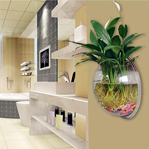 PRUGNA Wall-Hanging Fish Bowl Acrylic Wall-Mounted Plant Pot 1 Gallon Fish Tank 11.5-inches Decoration Planter