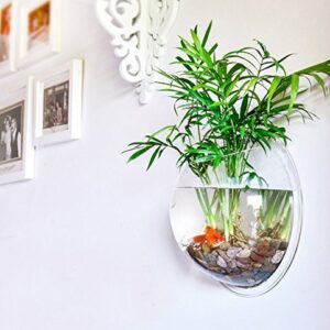 PRUGNA Wall-Hanging Fish Bowl Acrylic Wall-Mounted Plant Pot 1 Gallon Fish Tank 11.5-inches Decoration Planter