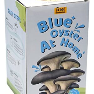 Root Mushroom Farm— Blue Oyster Mushroom Grow kit/ 3.2 pounds Log/Multiple flushes/Everything Included