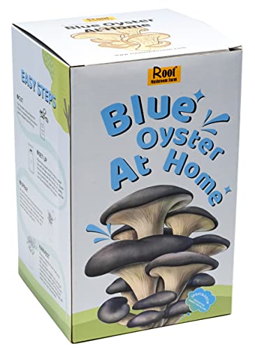 Root Mushroom Farm— Blue Oyster Mushroom Grow kit/ 3.2 pounds Log/Multiple flushes/Everything Included