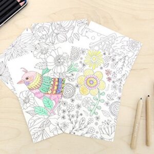 Stress Relieving Adult Coloring Books Color Therapy Stationery Cards Set, All Different 32 Coloring Postcards Including 10 Brown Kraft Envelopes Set, Greeting Note Cards and Envelopes Kit