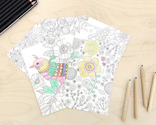 Stress Relieving Adult Coloring Books Color Therapy Stationery Cards Set, All Different 32 Coloring Postcards Including 10 Brown Kraft Envelopes Set, Greeting Note Cards and Envelopes Kit