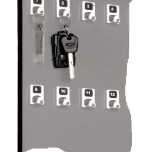 KEYSTAND # 60PGE, 60 Extra Space Numbered Hooks for Car Keys with Remote Control (60 Sets of Tag & Ring Included)