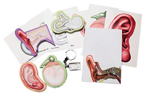 Hearing Gift Box Collection 2, 12 Pack for Audiologist, Students or Hearing Professional