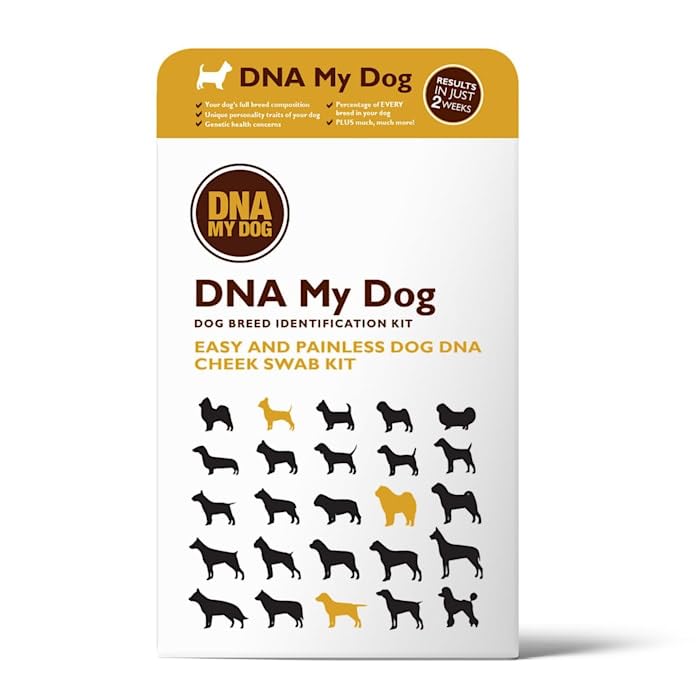 Dna My Dog Genetic Testing Kit – Essential Breed ID Test Mixed Breed Identification, Personality Traits – for Puppies to Adult Dogs, Non-Invasive Cheek Swab